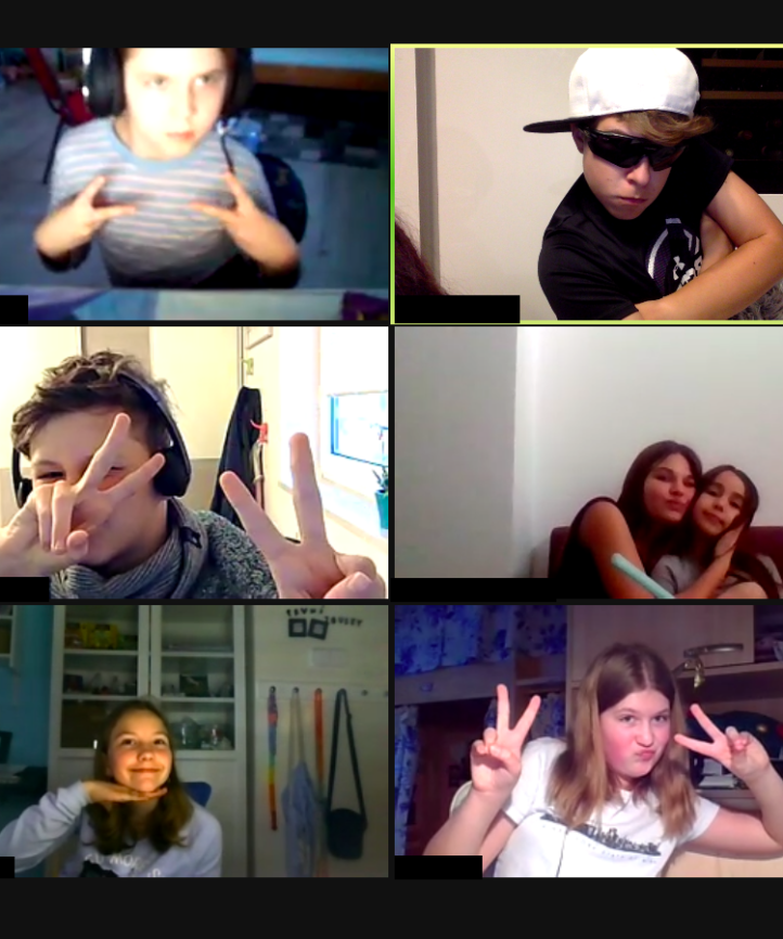 Snímek obr. 2021-01-11 v 16.23.18